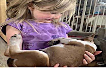 children suffer when their pets are taken permanently