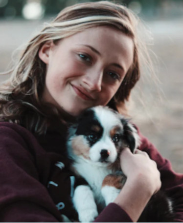 Treating pain in dogs and cats is good animal guardianship.