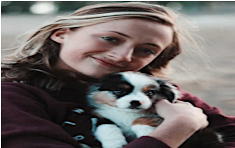 make accessibility for guardians with pets available in BC residential
tenancies