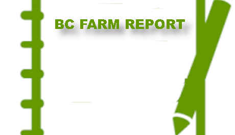 Recent report recommends provincial animal policing for farm animals