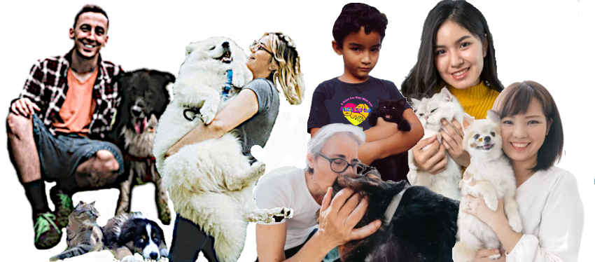 BC SPGA The Voice for BC Pet Owners and their animals
