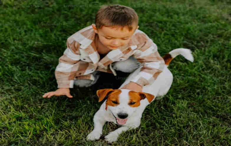 Caring for struggling animal guardians and their pets in BC