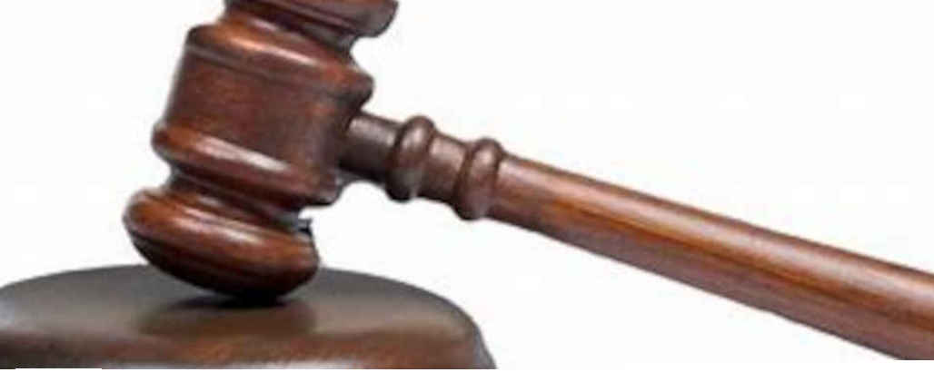 BC SPCA in supreme court to quash accountability and transparency its guiding legislation
