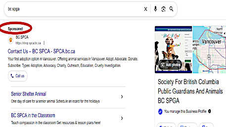 The BC SPCA steals search results for BC SPGA on Google