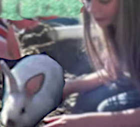 BC SPGA The Voice for BC Pet Owners and their animals