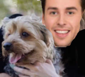 BC SPGA The Voice for BC Pet Owners and their animals