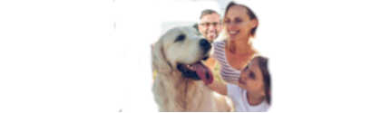 Programs and services to assist pets and their guardians in a crisis