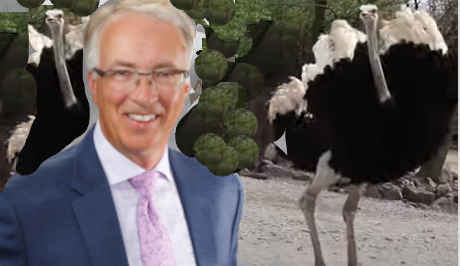 Good news for pet owners in British Columbia.