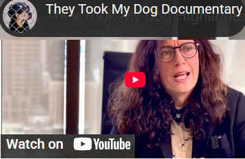 Watch now - Dogs taken from people with pets documentary in British Columbia.