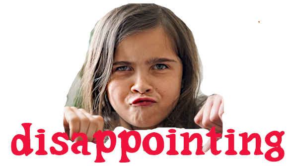 Housing Minister Boyle has no intention of ending pet discrimination in rental housing